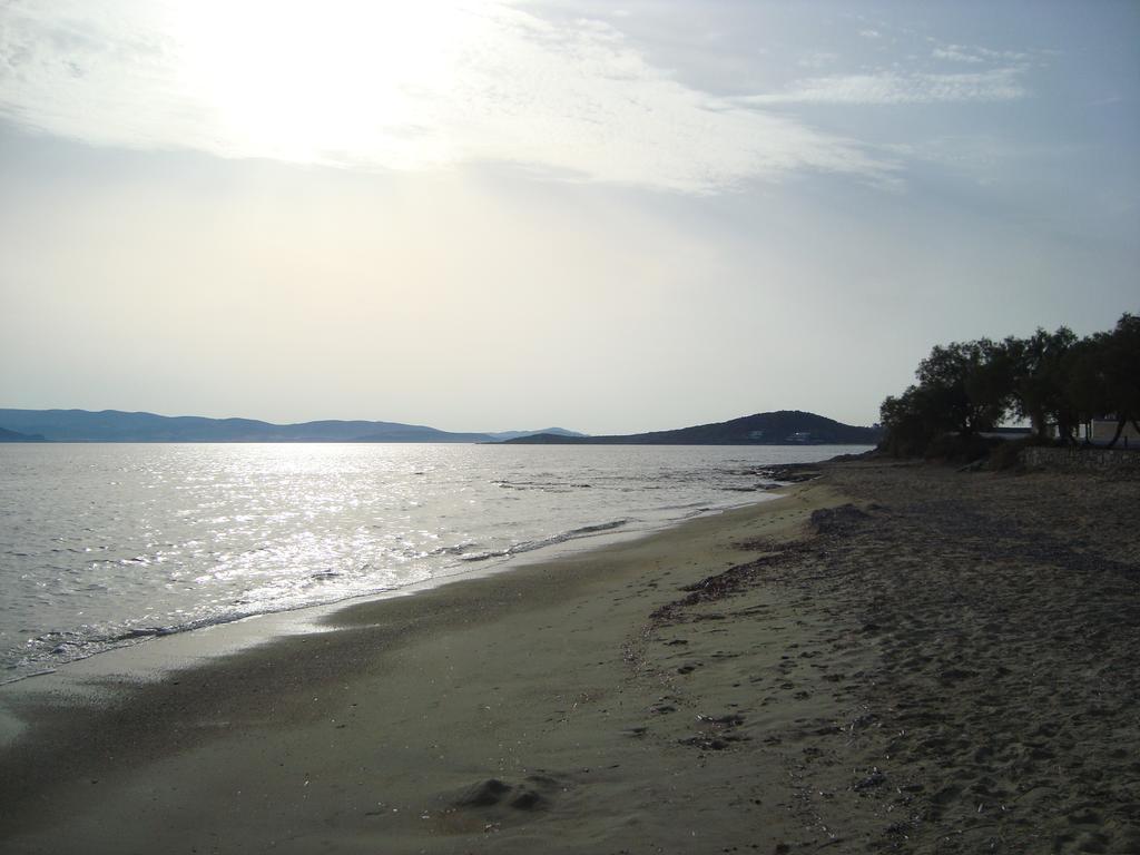 Studio Near The Sea Agia Anna  エクステリア 写真